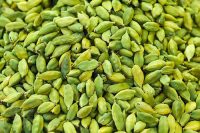 Cardamom Essential Oil (Elettaria cardamomum)
