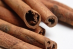 Cinnamon Bark Essential Oil (Cinnamomum zeylanicum)