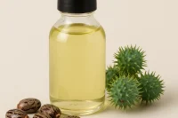 Castor oil in a glass bottle with castor fruit and seeds