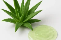 Aloe vera plant beside Organic aloe vera Gel