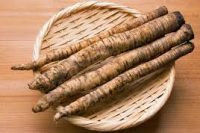 Burdock Root (Arctium lappa) Organic Herbal Extracts