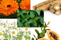 Montage of ingredients for eczema relief organic infused oil