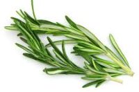Rosemary Essential Oil Organic (Rosmarinus officicalis)