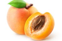 Apricot kernel (Prunus armeniaca)