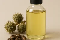 Organic Castor oil in glass bottle with castor seed and fruit