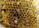 Beeswax Organic