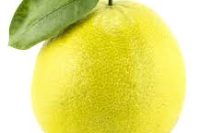 Bergamot Natural Blend Essential Oil (Citrus aurantium)