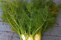 Fennel Sweet Ess Oil Organic (Foeniculum Vulgare)