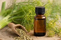 Organic sweet fennel seeds in a scoop with the plant behind and an amber glass bottle in front