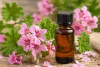 Egyptian geranium essential oil on a log with geranium flowers