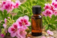 Rose geraniums sitting with an amber essential oil bottle