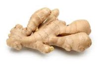 Ginger (Zingiber officinale) Organic Herbal Extracts