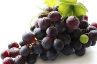 Grapeseed Oil (Vitis vinifera)