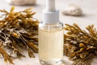 kelp-organic-extract