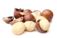 Macadamia Nut Oil (Macadamia intergrifolia)