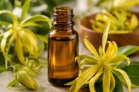 Ylang ylang flowers on a white bench with a bottle of ylang ylang essential oil