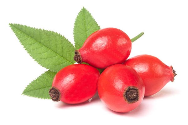 Rosehip Oil Organic (Rosa Canina)
