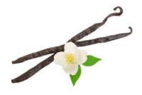 Vanilla Organic Oleoresin 4 X (Vanilla Planifolia) Water soluble
