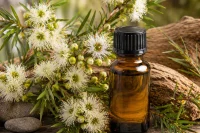 Kunzea plant sitting behind essential oil bottle