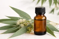 Eucalyptus radiata essential oil sitting beside eucalyptus leaves