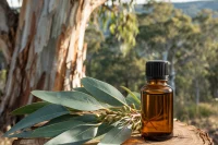 Eucalyptus essential oil on a tree stump with trees all around