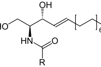 Ceramide 2