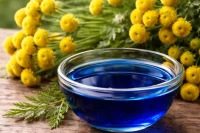 Blue Tansy in a bowl in front of yellow blue tansy flowers