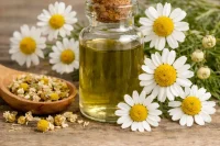 Chamomile organic herbal extract matricaria recutita with flowers on timber