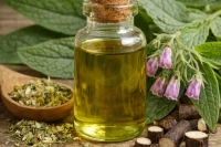 Comfrey organic infused oil with fresh comfrey leaves and herbal botanicals